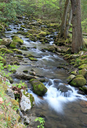 Water streams and cascades in the Great Smoky Mountain National Park の写真素材