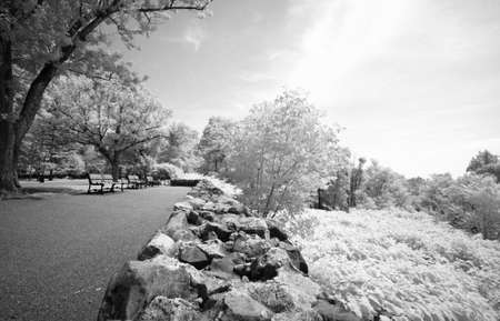 The dreamy infrared image of South Mountain Reservation in New Jerseyの写真素材