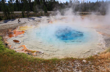 The scenery of Lower Geyser Basin in Yellowstone National Park 