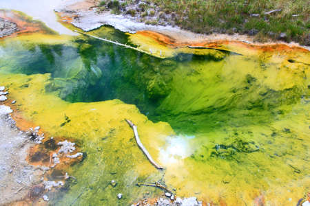 West Thumb Geyser Basin in Yellowstone National Park の写真素材