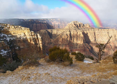 The Grand Canyon National Park in Arizona USの写真素材