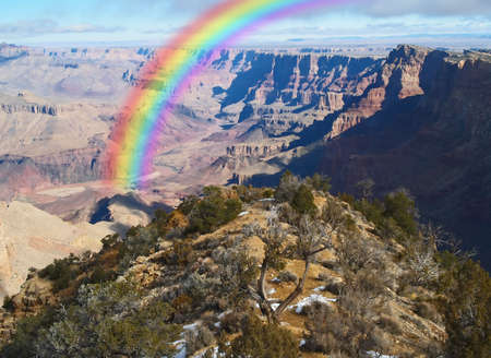 The Grand Canyon National Park in Arizona USの写真素材