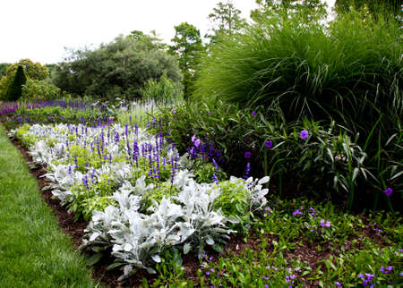 flowers displayed in a botanical garden USAの写真素材
