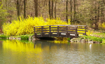 a landscaping scenery at botanic garden in US の写真素材