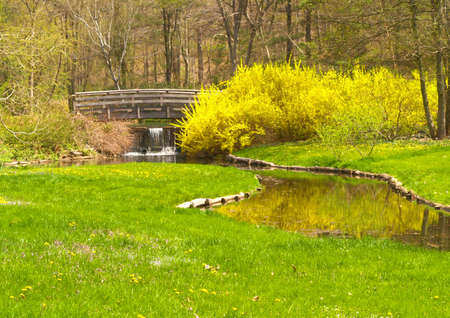 a landscaping scenery at botanic garden in US の写真素材