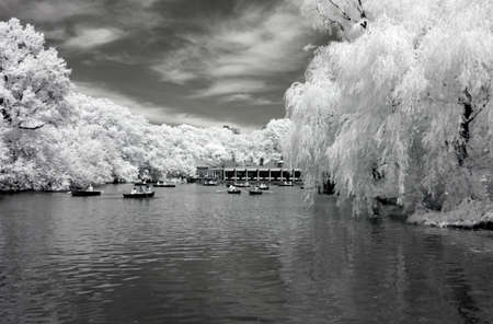 Infrared image of the Central Park in Manhattanのeditorial素材