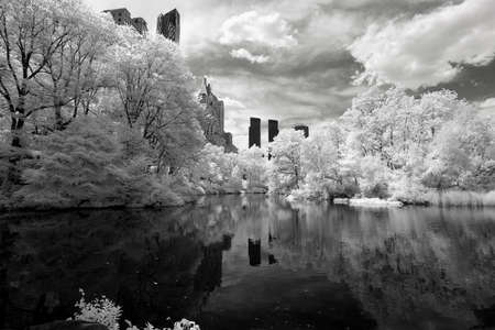 Infrared image of the Central Park in Manhattanの写真素材