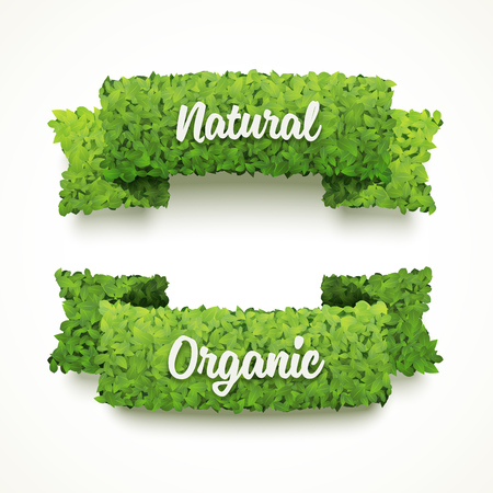 banners made of green leaves. Natural and organic banner templates. Ecology banner design. Set of two banners.のイラスト素材