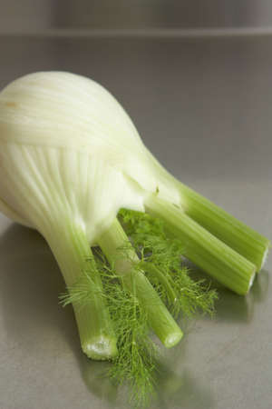 Fresh fennel on stainless steel bench. Shallow focusの写真素材