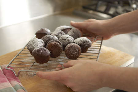 Chocloate cupcakes, freshly baked on a cooling rack held by female handsの写真素材