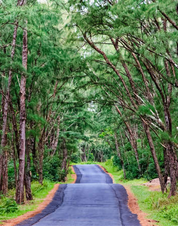 The Hawaiian Islands are the most remote islands in the world. The beauty of the Hawaiian Islands is unrivaled.の写真素材