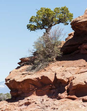 Red Rock Formations And Dramatic Landscapes Near Moab Utahの写真素材