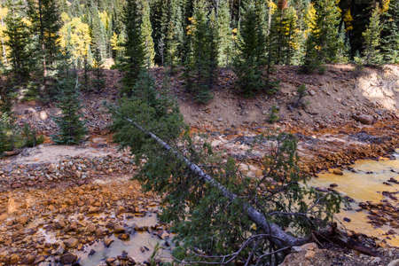 Autumn Scenery in the Beautiful San Juan  Mountains of Colorado