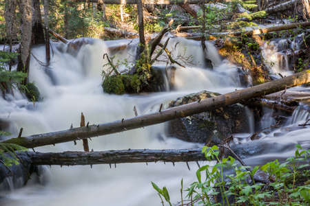 The High Country of Colorado - Killpecker Creek in the Laramie Mountains.