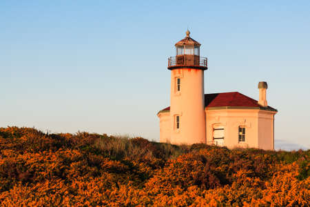 Gorse and morning light decorating the Coquille River Lighthouse in Bandon, Oregon.の写真素材