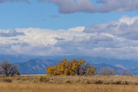 Golden Leaves of Aspen Trees in the Beautiful Rocky Mountains of Colorado.の写真素材