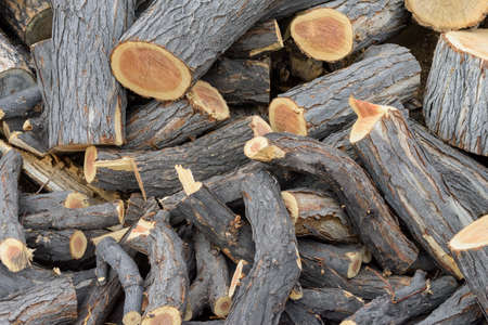 Logs, big and small, cut and neatly stacked.