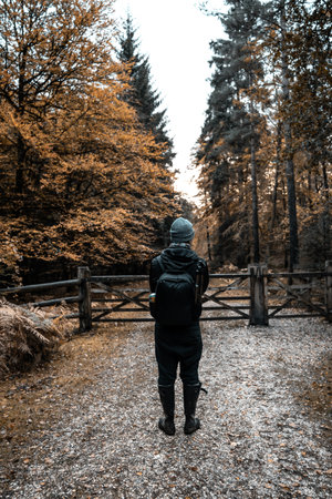 a man wearing a backpack standing on an autumn forest pathの写真素材