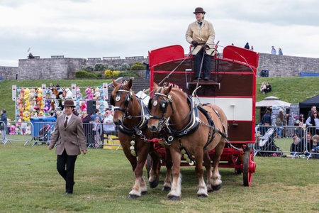 09/14/2019 Portsmouth, Hampshire, UK a traditional english horse drawn cart at an country showのeditorial素材