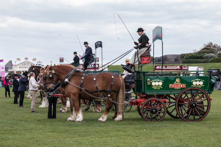 09/14/2019 Portsmouth, Hampshire, UK a traditional english horse drawn cart at an country showのeditorial素材