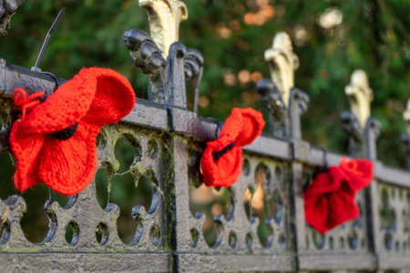 11/06/2019 Winchester, Hampshire, UK knitted red poppies attached to a fence for remembrance dayのeditorial素材