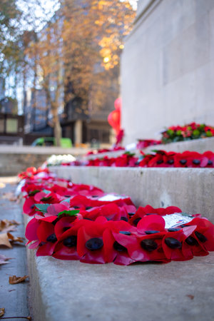 11/11/2019 Portsmouth, Hampshire, UK Red poppy wreaths laid around a war memorial for remembrance dayのeditorial素材