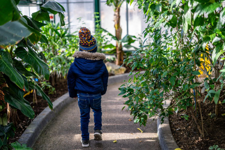 a boy in winter clothing walking through a path surrounded by green tropical treesの写真素材