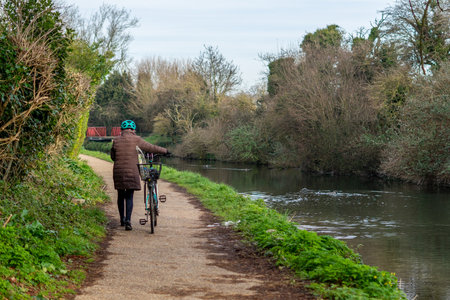 A middle aged woman push a bicycle along a canal towpathの写真素材