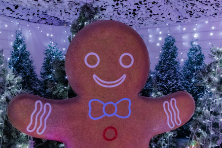 A gingerbread man decoration on display for Christmasの写真素材