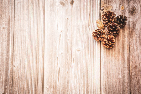 Pine cones on a wooden background with copy space, an autumn backgroundの写真素材