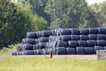 A Stack of round hay bales wrapped in black plastic in a farm field