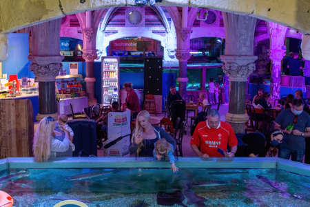 08-17-2021 Brighton, East Sussex, UK Families enjoying looking at the fish at at an aquarium, The sealife Centre, Brightonのeditorial素材