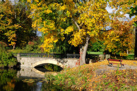 maple and arched bridge. autumn in the park.の写真素材