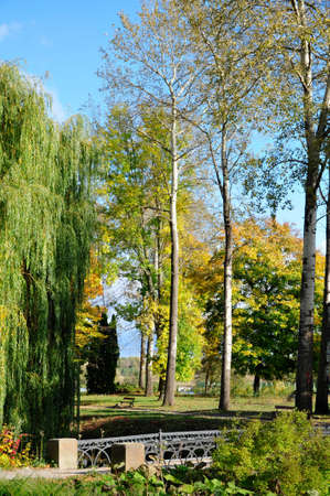 willow, aspen and the arched bridge in the park.dendropark "alexandria." ukraine.の写真素材