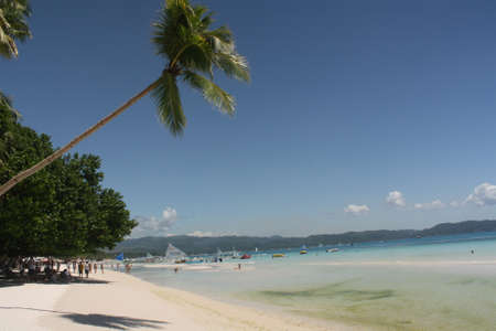 Tropical Beach