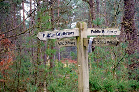 Four way public bridleway sign in a woodlandの写真素材