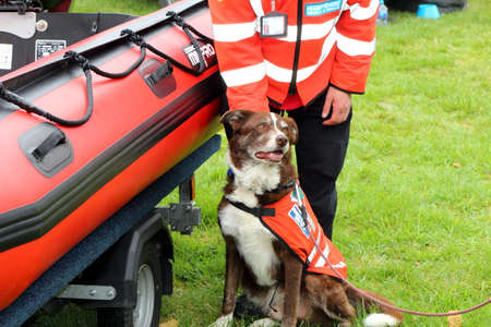 Beaulieu, Hampshire, UK - May 29 2017: Dog and its handler belonging to the Hampshire Search and Rescue teamのeditorial素材