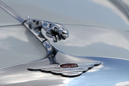 Sandhurst, UK - June 18 2017: Jaguar Leaping Cat bonnet mascot or emblem on a vintage Jaguar carのeditorial素材