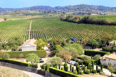 Carcassonne, Languedoc-Roussillon, France - August 24 2017: Rows of grape vines on a gentle slope in the French countryside near Carcassonne, Languedoc, Franceのeditorial素材