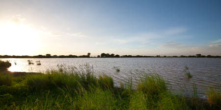 A landscape of a marsh, lake and mountains. Manyara Ranch Conservancy, Tanzania.の写真素材