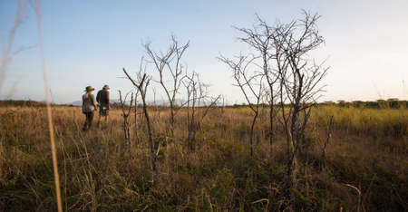 A male and female ranger make their way through the bush in Tanzania