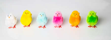 Easter Chick decorations of various colors on a white background.