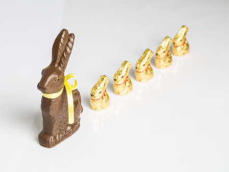 Large Chocolate Easter bunny with smaller chocolate bunnies lined up in a row. Studio Isolated on white with reflection. Part of a Series.の写真素材