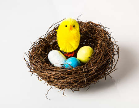 Easter Chick with a number of chocolate candy eggs in a bird's nest. Isolated on a white background.