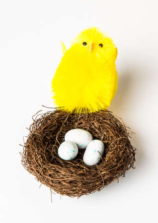 A large yellow chick with a nest full of candy eggs. Easter concept isolated on white.
