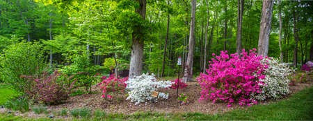 A beautifully landscaped garden in North Carolina. Birhouses, trees, flowers and bushes.の写真素材