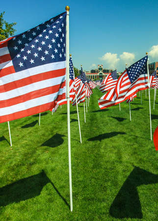 American Flags wave in the wind at a memorial in Utah  Fourth of July, Memorial Day, September 11th, Veteranの写真素材