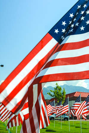 American Flags wave in the wind at a memorial in Utah  Fourth of July, Memorial Day, September 11th, Veteranの写真素材