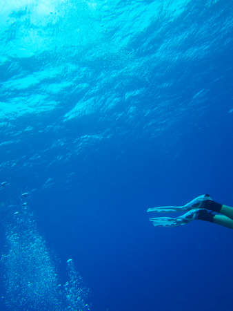 The Bubbles of a scuba diver race towards the surface as the fins of another head out of the frame.の写真素材
