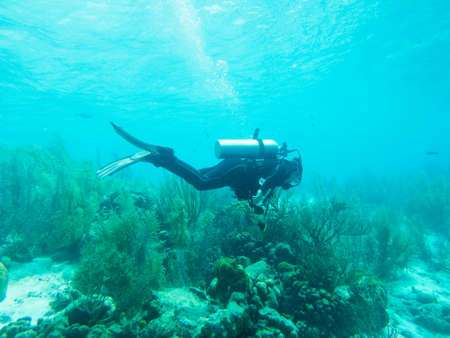 A scuba diver swims along admiring the underwater life.